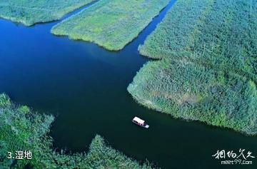 博兴麻大湖旅游区-湿地照片