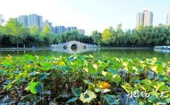 西安丰庆公园旅游攻略之金湖
