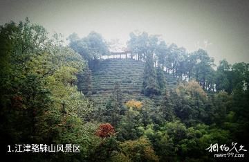 江津骆騋山风景区照片