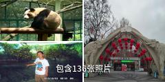上海动物园驴友相册