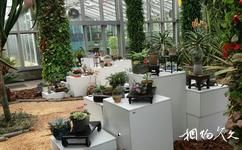 上海植物園旅遊攻略之展覽溫室