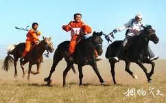 錫林郭勒盟蘇尼特右旗社保局旅遊點旅遊攻略之賽馬