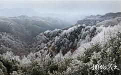 三門峽甘山國家森林公園旅遊攻略之冬之景