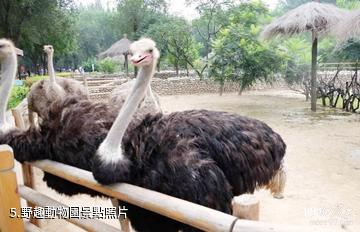 萊蕪彩石溪景區-野趣動物園照片