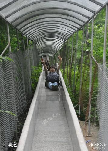 宝鸡太白青峰峡森林公园-滑道照片