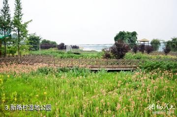 青神汉阳湖景区-新路村湿地公园照片