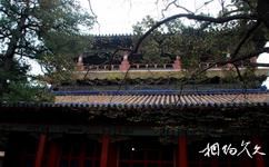 北京故宫旅游攻略之符望阁