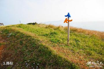 济州岛偶来小路-路标照片
