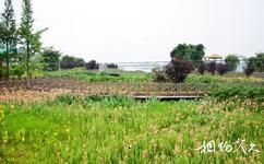 青神漢陽湖旅遊攻略之新路村濕地公園