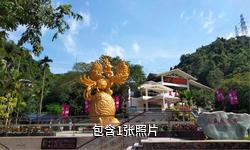 三亚凤凰岭海誓山盟景区驴友相册