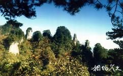 漢中天台森林公園旅遊攻略之拔仙絕頂