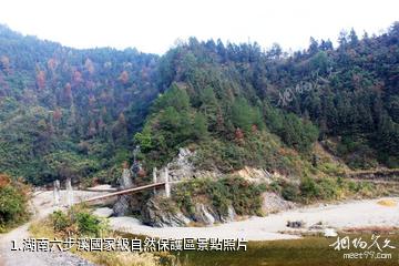 湖南六步溪國家級自然保護區照片