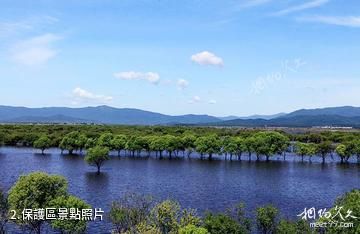 饒河東北黑蜂國家級自然保護區-保護區照片