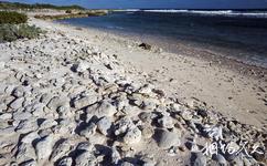 安圭拉岛旅游攻略之海龟巢穴