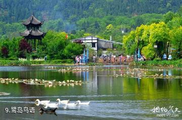 遂宁安居七彩明珠景区-鹭岛鸟语照片