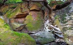 温州中山公园旅游攻略之摩崖石刻
