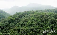 福建雄江黄楮林国家级自然保护区旅游攻略