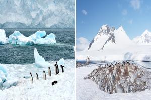 南極洲旅遊攻略-南極洲景點排行榜