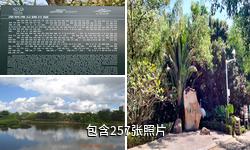 深圳紅樹林自然保護(hù)區(qū)驢友相冊
