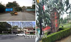上海中山公园驴友相册