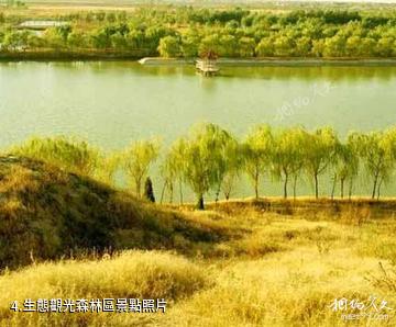 瀋陽三利生態農業觀光園-生態觀光森林區照片