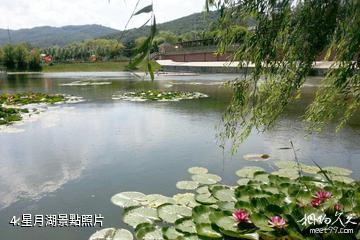 雙鴨山林業局青山國家森林公園-星月湖照片