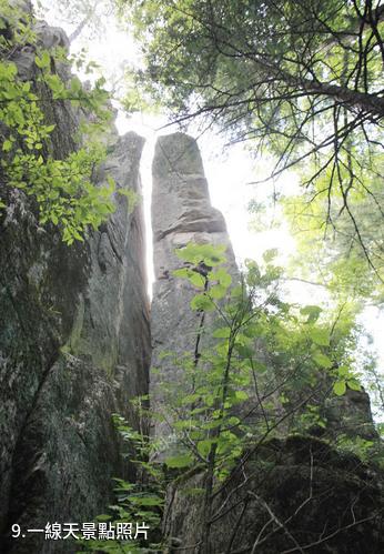 森工清河林區旅遊景區-一線天照片