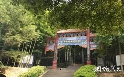 岳陽五尖山森林公園旅遊攻略之世界碑林博物館