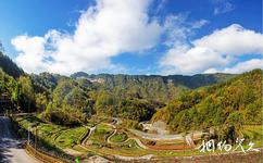 萬州三峽古楓香園旅游攻略之楓香花園