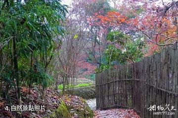 福建雄江黃楮林國家級自然保護區-自然照片