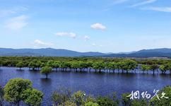 饒河東北黑蜂國家級自然保護區旅遊攻略之保護區