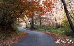 通化市白雞腰國家森林公園旅遊攻略之秋日風景