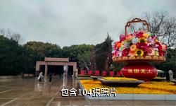 上海龍華烈士陵園驢友相冊