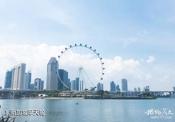 新加坡摩天轮照片