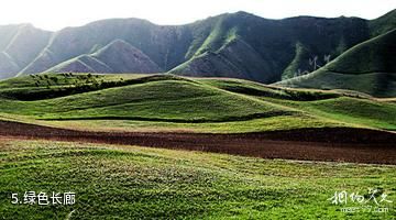 乌鲁木齐卧龙岗庄园-绿色长廊照片