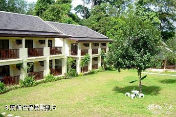 青河天林島度假村-賓館住宿照片