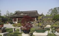 扬州瘦西湖旅游攻略之扬派盆景博物馆