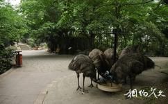 重庆动物园旅游攻略之鸟语林