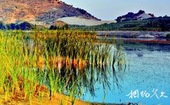 赤峰玉龙沙湖旅游攻略之湿地