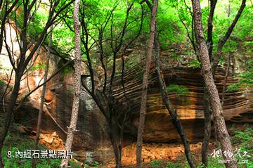 陝西延安黃陵國家森林公園-內經石照片
