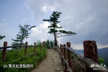 黑龍江桃山桃源湖旅遊區-擎天松照片