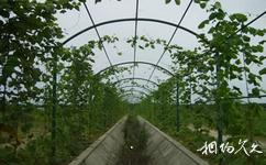 江蘇永豐林農業生態園旅遊攻略之農趣廊