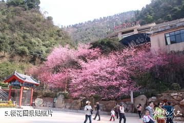 郴州王仙嶺旅遊區-櫻花園照片
