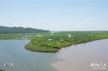 黑龙江八岔岛国家级自然保护区-鸟类照片