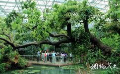 第八届中国花博会[常州]旅游攻略之自然馆