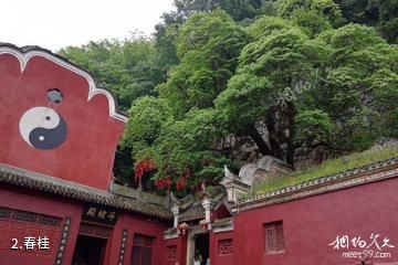 房县观音洞-春桂照片