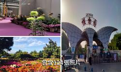乌鲁木齐植物园驴友相册
