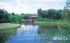 日本国营日立海滨公园旅游攻略之自然森林