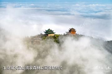 岳陽大雲山國家森林公園照片