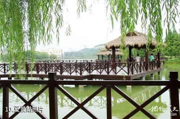 徐州金龍湖風景區-夏照片